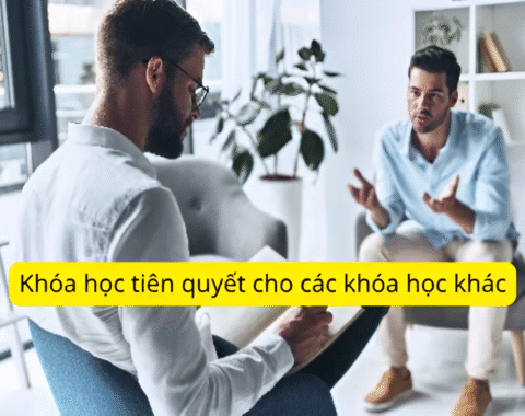 Khóa học cơ bản về Khai vấn – Tâm lý học tổng quát